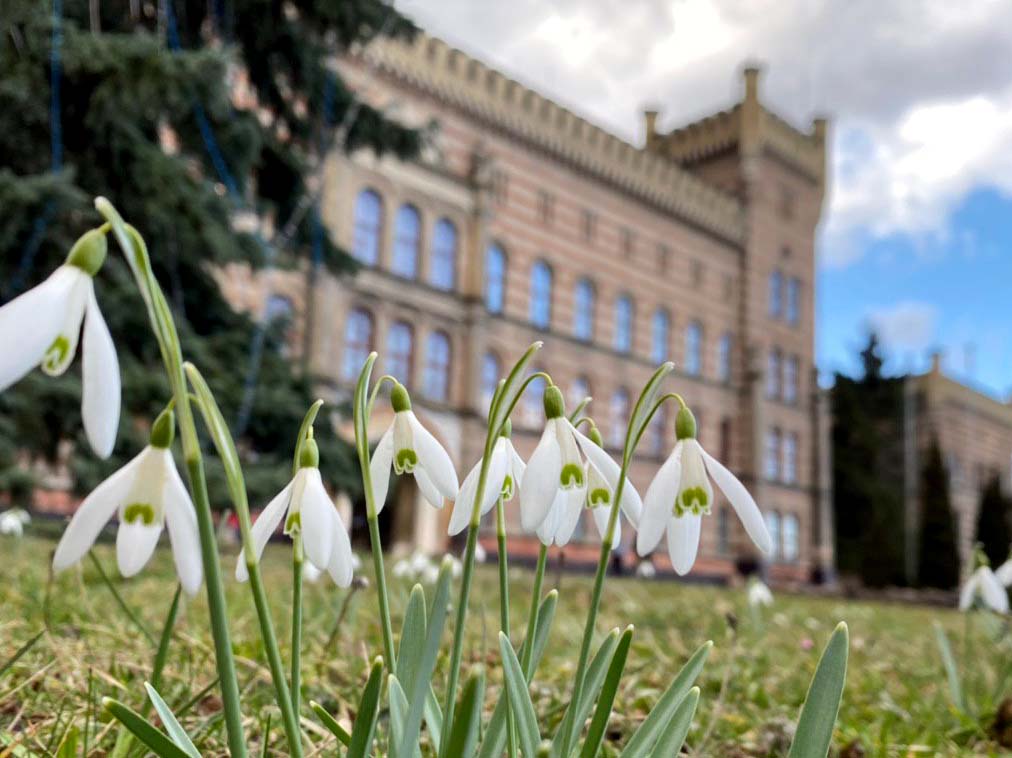Львівський державний університет безпеки життєдіяльності