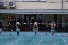 В Університеті пройшло відкриття «Ліги плавання 2016»