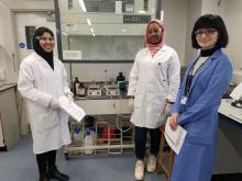 ПРЕДСТАВНИКИ УНІВЕРСИТЕТУ ПРОДОВЖУЮТЬ СПІВПРАЦЮ З КІНГСТОНСЬКИМ УНІВЕРСИТЕТОМ В РАМКАХ ПРОГРАМИ ERASMUS+ 