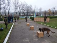 6-9 листопада відбувся черговий етап міжнародного проекту між Львівським державним університетом безпеки життєдіяльності та Естонською академією безпеки 