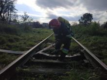 Практичні заняття 