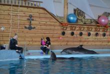 Відвідання лекції-тренінг «Дельфінотерапія»