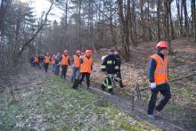 Збережімо ліси разом: магістри та бакалаври випускних курсів приборкали пожежу