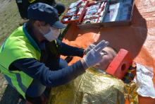 Активна фаза Міжнародних польових навчань EU-CHEM-REACT