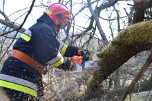 Збережімо ліси разом: магістри та бакалаври випускних курсів приборкали пожежу