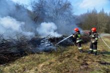 Збережімо ліси разом: магістри та бакалаври випускних курсів приборкали пожежу