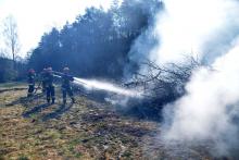 Збережімо ліси разом: магістри та бакалаври випускних курсів приборкали пожежу