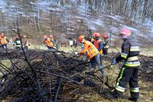 Збережімо ліси разом: магістри та бакалаври випускних курсів приборкали пожежу