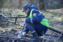 Збережімо ліси разом: магістри та бакалаври випускних курсів приборкали пожежу