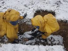 Практика  як невідємна складова освітнього процесу