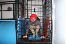 В  для учнів із воєводста Підкарпатського м. Калнікова  організовано та проведено екскурсію Університетом 