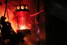 День Гідності та Свободи відзначили у Львівському державному університеті безпеки життєдіяльності