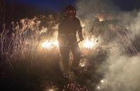 Протягом минулої доби курсанти ЛДУБЖД ліквідовували пожежу