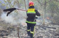 Курсанти Львівського державного університету безпеки життєдіяльності беруть участь в ліквідації пожеж