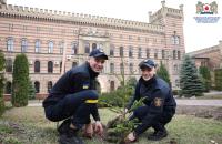 Дерево, як символ вдячності: випускники ЛДУБЖД висадили понад 200 дерев на території Університету Дерево, як символ вдячності: випускники ЛДУБЖД висадили понад 200 дерев на території Університету