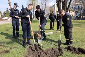 Жива пам’ять поколінь: випускники ЛДУБЖД висадили алею сакур Жива пам’ять поколінь: випускники ЛДУБЖД висадили алею сакур