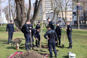 Жива пам’ять поколінь: випускники ЛДУБЖД висадили алею сакур Жива пам’ять поколінь: випускники ЛДУБЖД висадили алею сакур