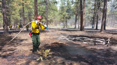 Представник Університету здобув досвід гасіння лісових пожеж в США