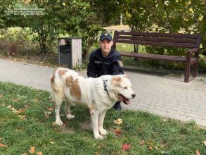Курсанти ЛДУБЖД відвідали «Домівку врятованих тварин» у Львові