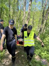 Майбутні рятувальники ЛДУБЖД відпрацювали пошуково-рятувальні роботи в лісовій місцевості та на водоймах