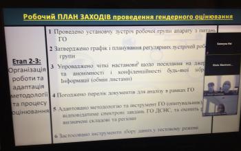 Фахівці Структури «ООН Жінки» в Україні  провели вебінар з ґендерних питань