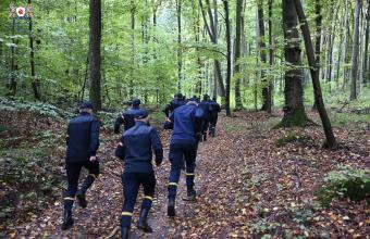 Курсанти ЛДУБЖД долучилися до екопроєкту «Ліс єдності»