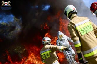 Вогонь запеклих не пече: курсанти та викладачі ЛДУБЖД взяли участь у навчаннях на полігоні