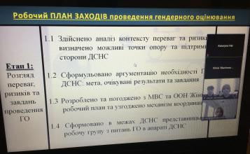 Фахівці Структури «ООН Жінки» в Україні  провели вебінар з ґендерних питань