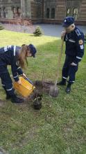 Протягом квітня в Університеті провели еко-акцію Протягом квітня в Університеті провели еко-акцію