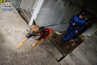 Випускники ЛДУБЖД взяли участь у масштабних пожежно-тактичних навчаннях 