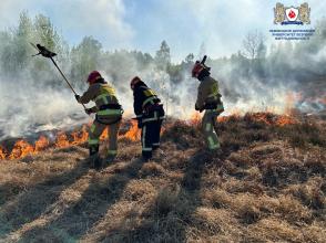 Курсанти ЛДУБЖД продовжують відпрацьовувати практичні навички під час навчальної практики в НПРЧ