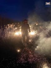 Протягом минулої доби курсанти ЛДУБЖД ліквідовували пожежу