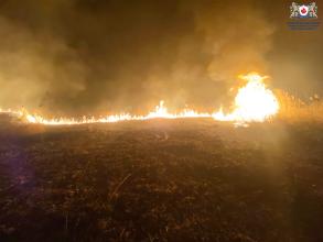 Протягом минулої доби курсанти ЛДУБЖД ліквідовували пожежу