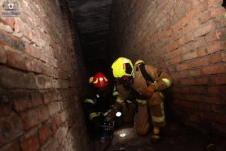 "Війна в Україні: медична відповідь": представники ЛДУБЖД взяли участь в 8-му міжнародному симпозіумі для молодих вчених "SMART LION 2024"