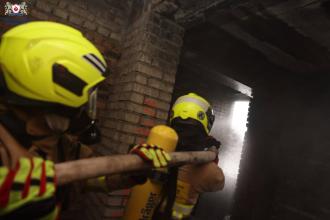 "Війна в Україні: медична відповідь": представники ЛДУБЖД взяли участь в 8-му міжнародному симпозіумі для молодих вчених "SMART LION 2024"