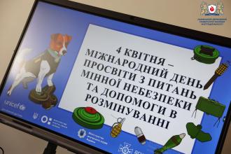 Знання задля безпечного життя: ЛДУБЖД об’єднав понад 300 дітей і близько 100 дорослих у День мінної просвіти 