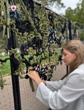 Благодійний менеджмент Благодійний менеджмент