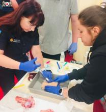 Фельдшер медико-санітарної частини ЛДУБЖД пройшла тренінг із роботи з медичним обладнанням автомобілів 