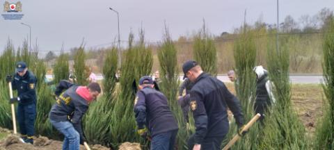 Студенти та курсанти ЛДУБЖД долучилися до екологічної ініціативи з озеленення території військових поховань