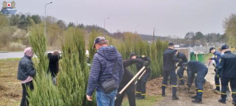 Студенти та курсанти ЛДУБЖД долучилися до екологічної ініціативи з озеленення території військових поховань