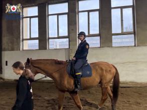 Іпотерапія як шлях до рівноваги: курсанти ЛДУБЖД долучилися до програми ментального здоров’я «Ти як?»