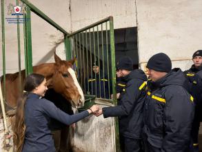 Іпотерапія як шлях до рівноваги: курсанти ЛДУБЖД долучилися до програми ментального здоров’я «Ти як?»
