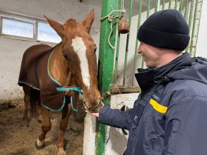 Іпотерапія як шлях до рівноваги: курсанти ЛДУБЖД долучилися до програми ментального здоров’я «Ти як?»